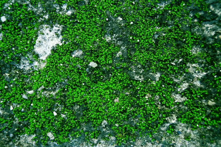 Nudíte se doma? Vyzkoušejte zážitkovou těžbu nejen vltavínů!